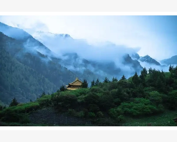 针灸治疗前列腺：有效方法还是虚妄之谈？